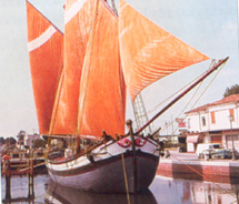 Barche tradizionali
raduno a Cesenatico

